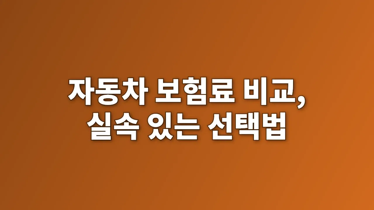 자동차 보험료 비교, 실속 있는 선택법